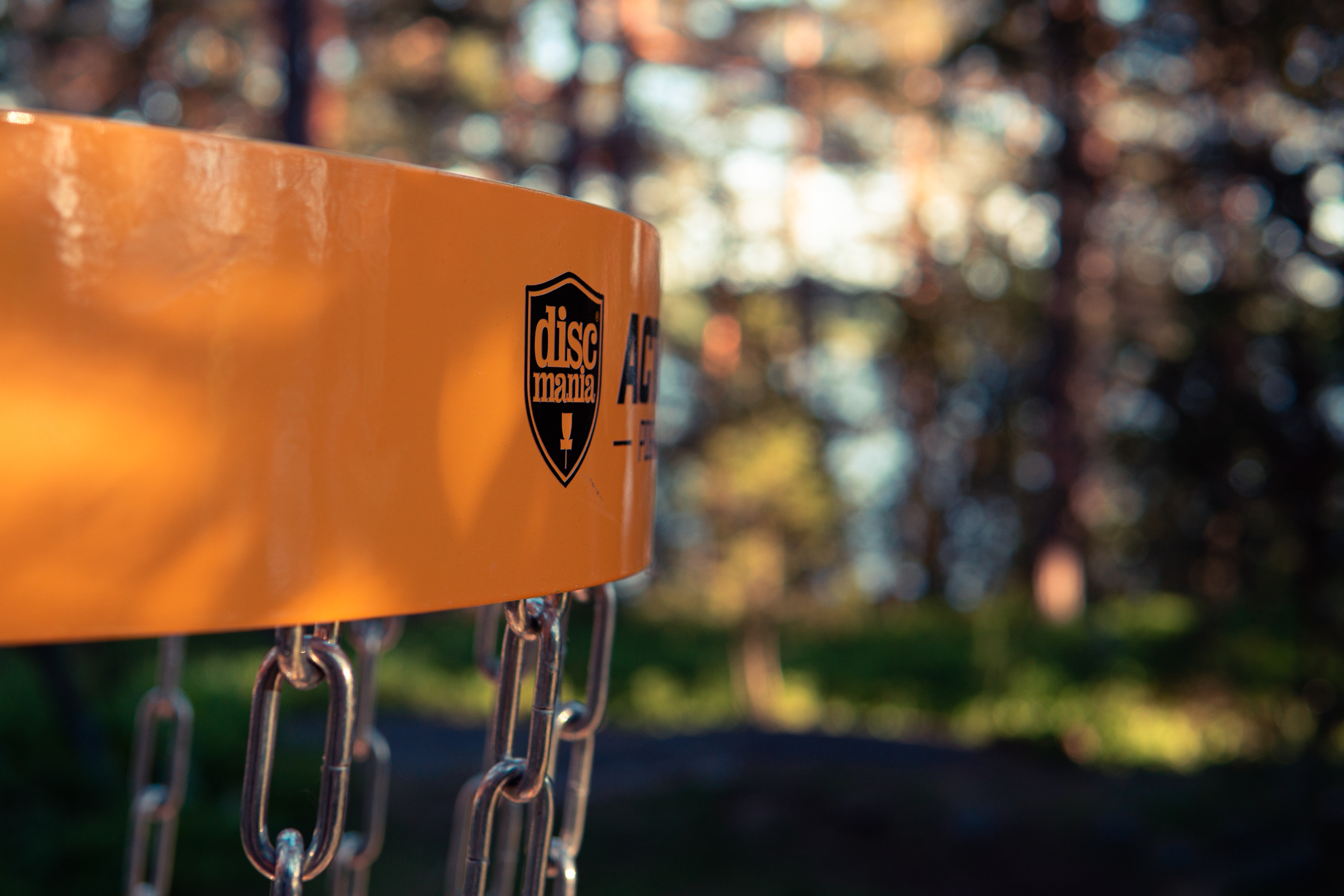 Summer scene with disc golf basket